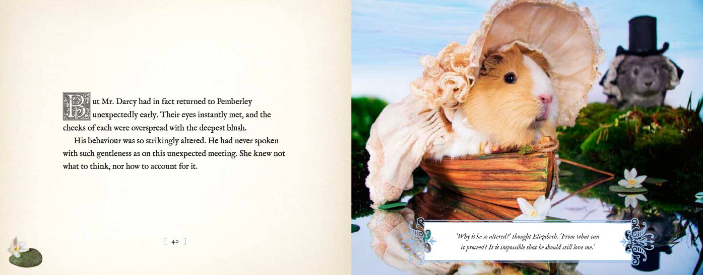 A Guinea Pig Pride Prejudice