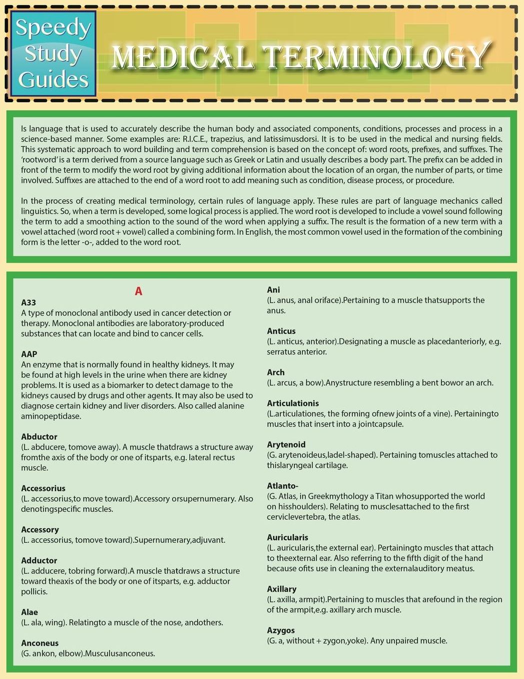 Medical Terminology (Speedy Study Guides)