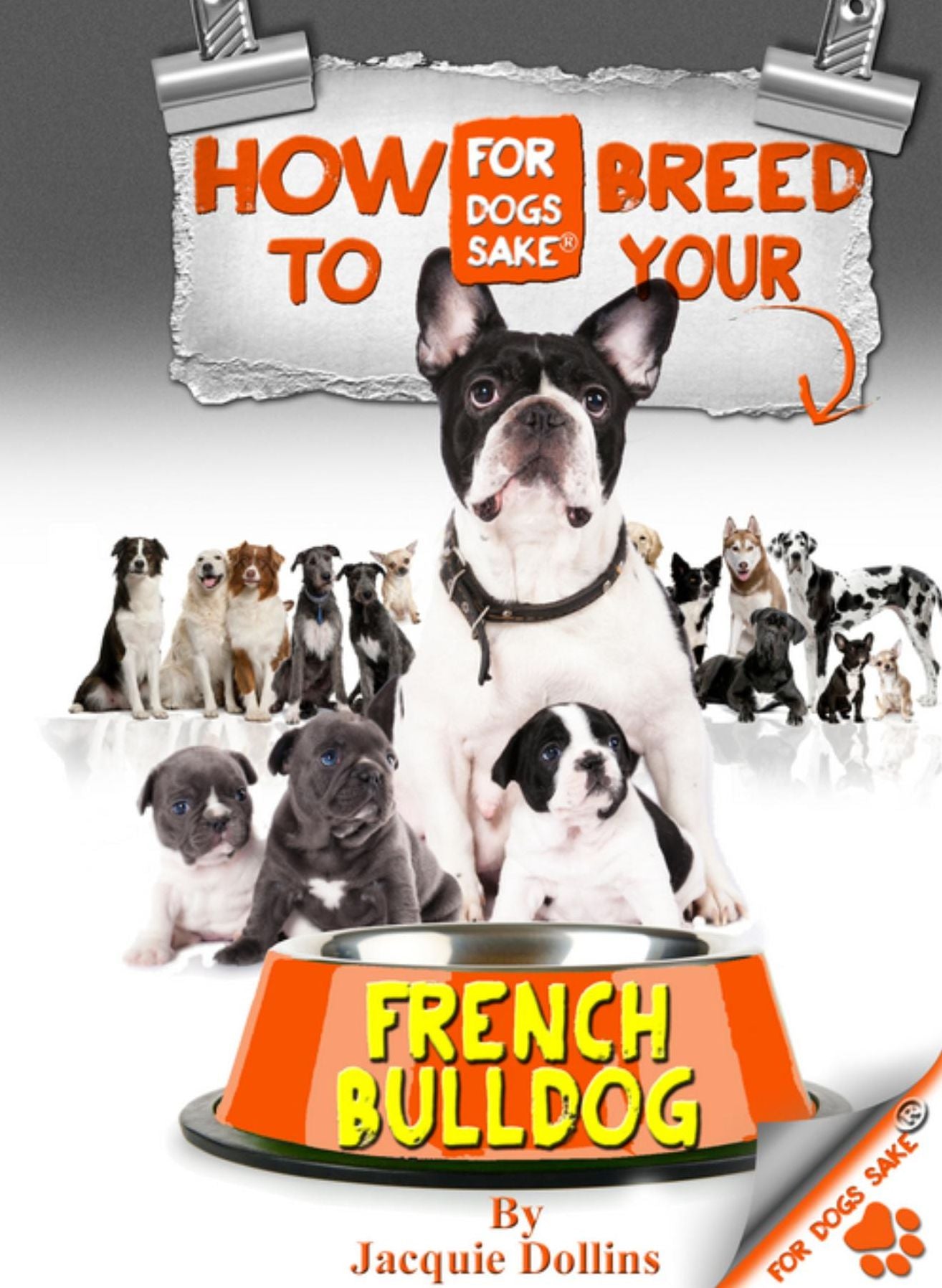How to Breed your French Bulldog: Responsible Breeding