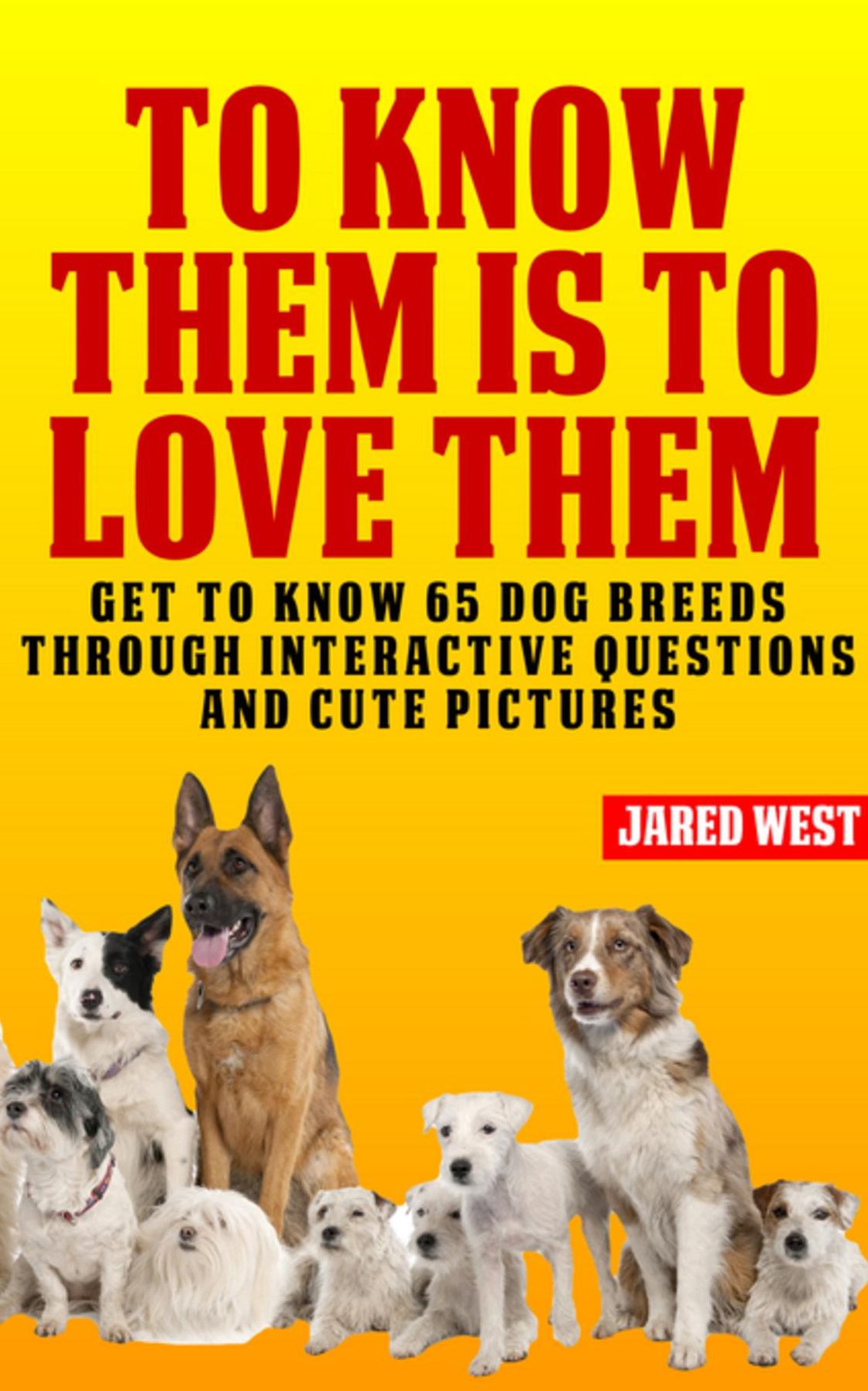 To Know Them is to Love Them: Get to Know 65 Dog Breeds Through Interactive Questions and Cute Pictures