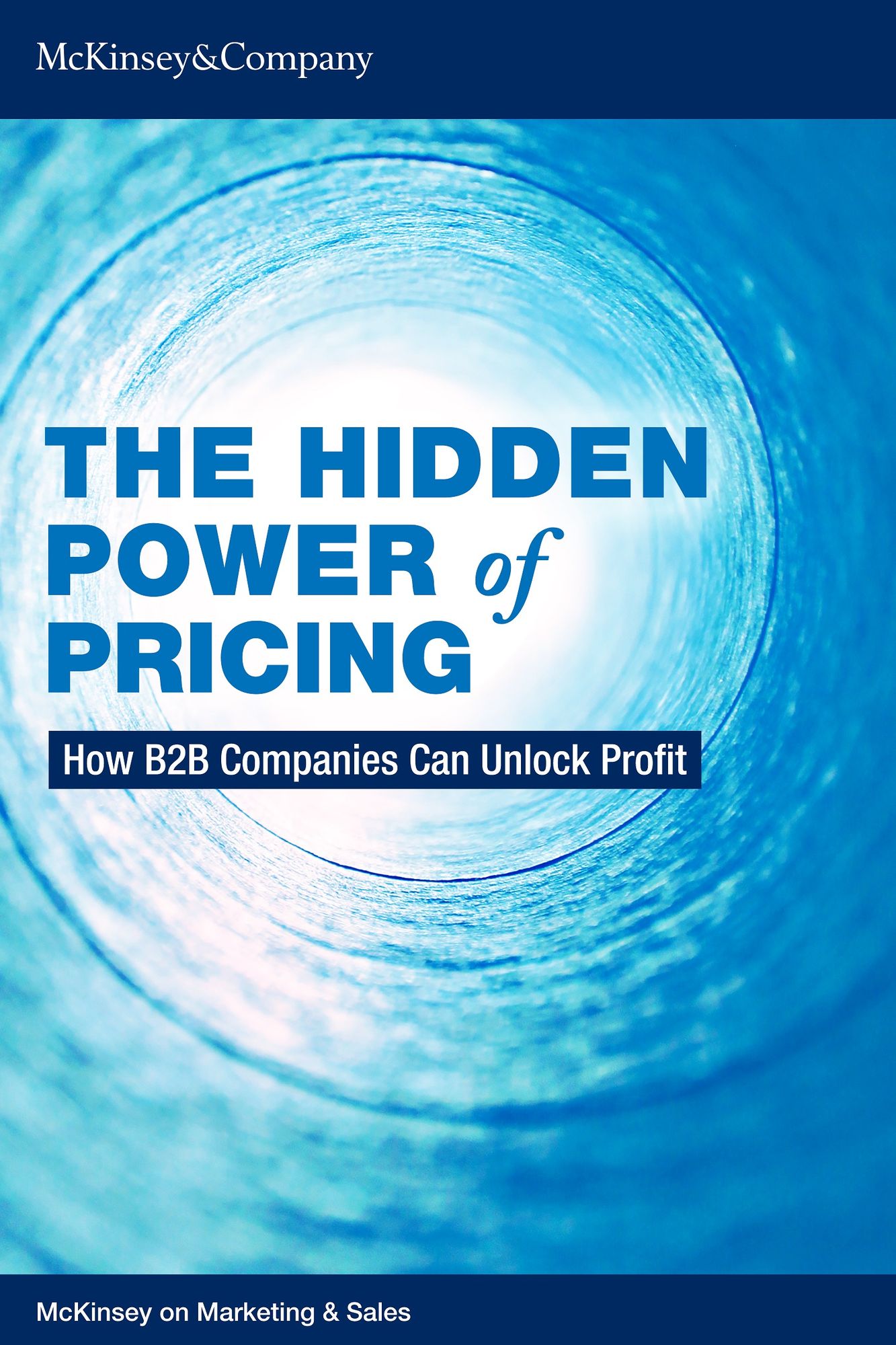 The Hidden Power of Pricing: How B2B Companies Can Unlock Profit