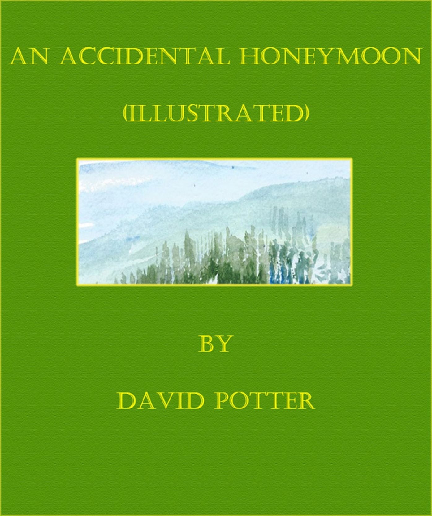 An Accidental Honeymoon (Illustrated)