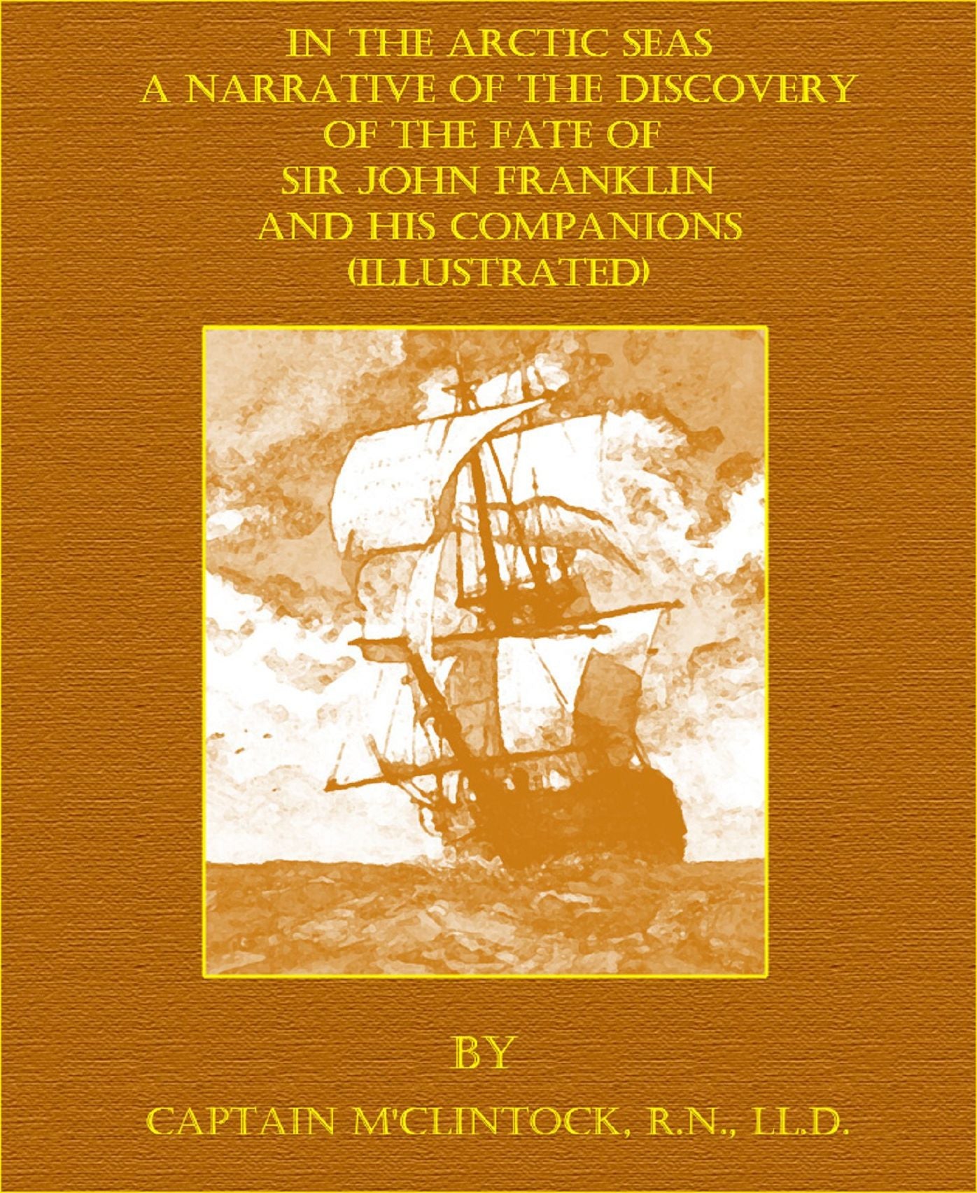 In The Arctic Seas (Illustrated)