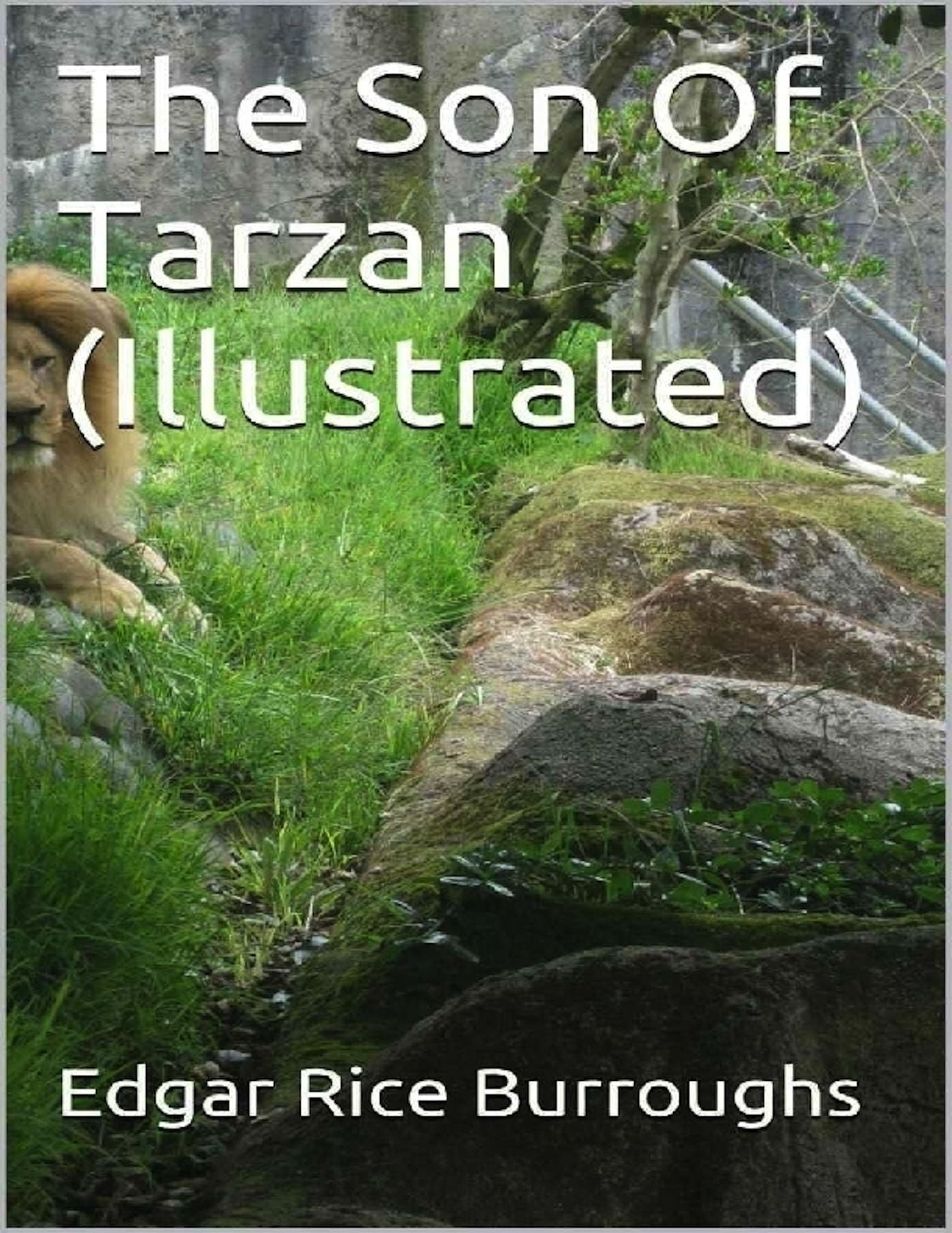 The Son Of Tarzan (Illustrated)