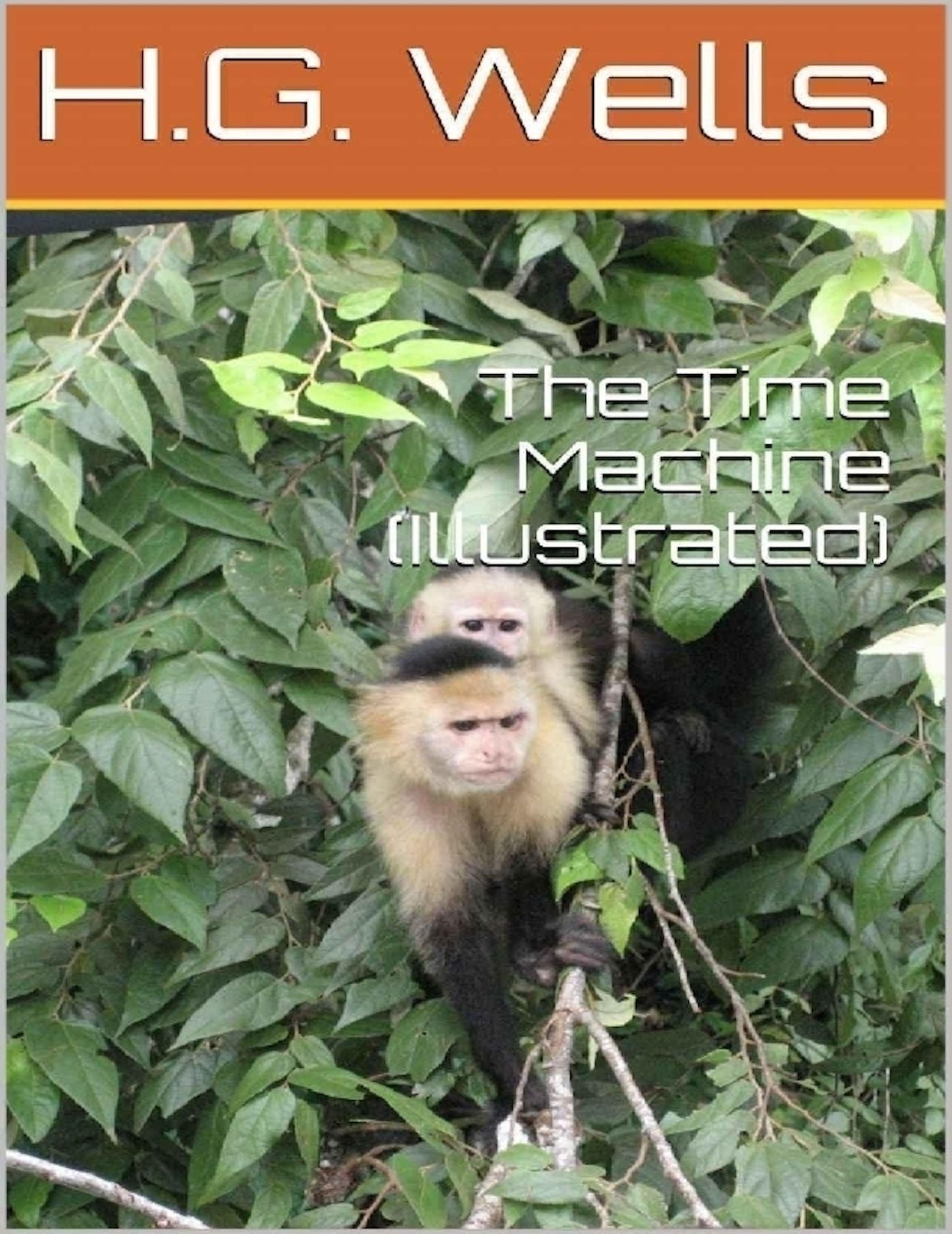 The Time Machine (Illustrated)