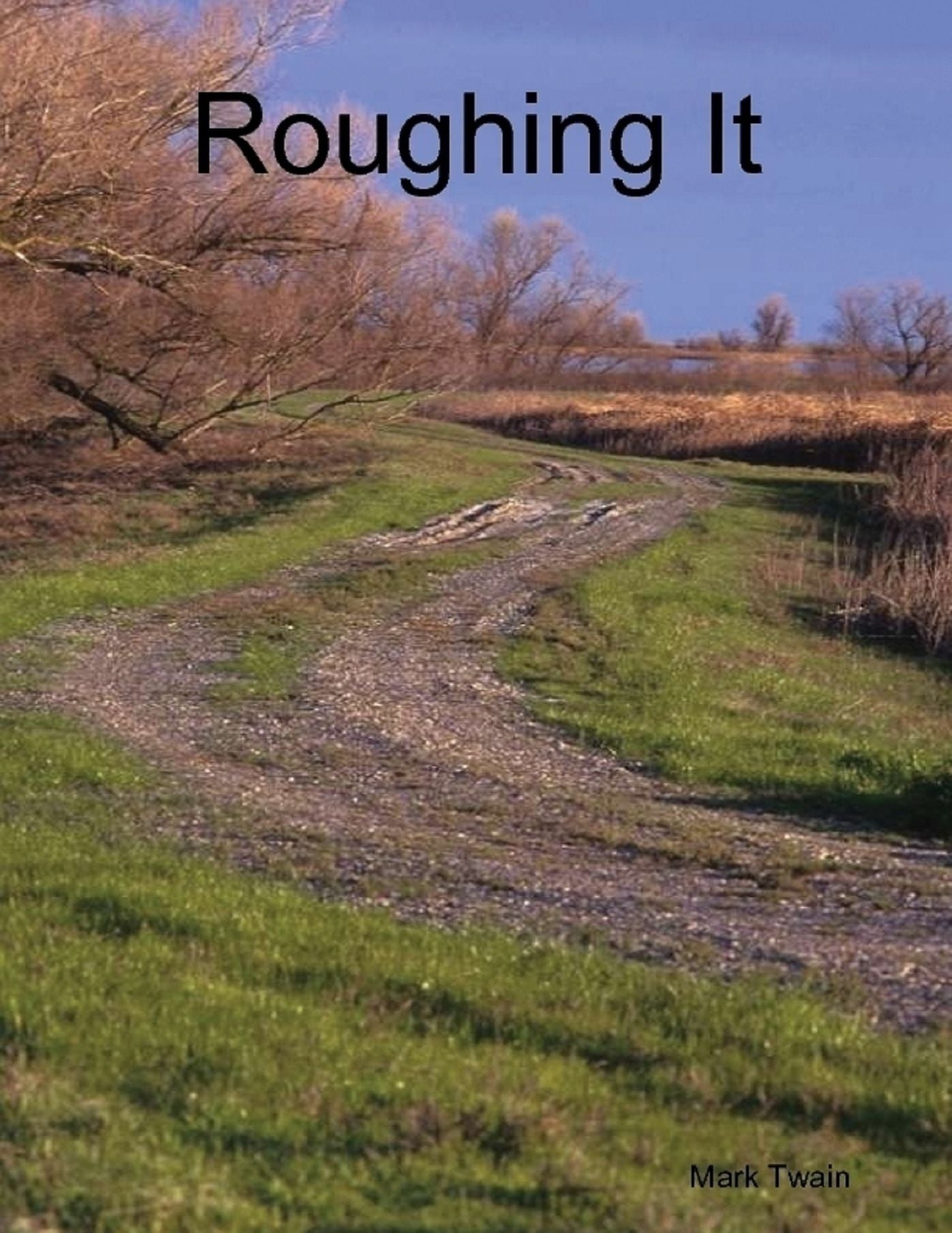 Roughing It (Illustrated)