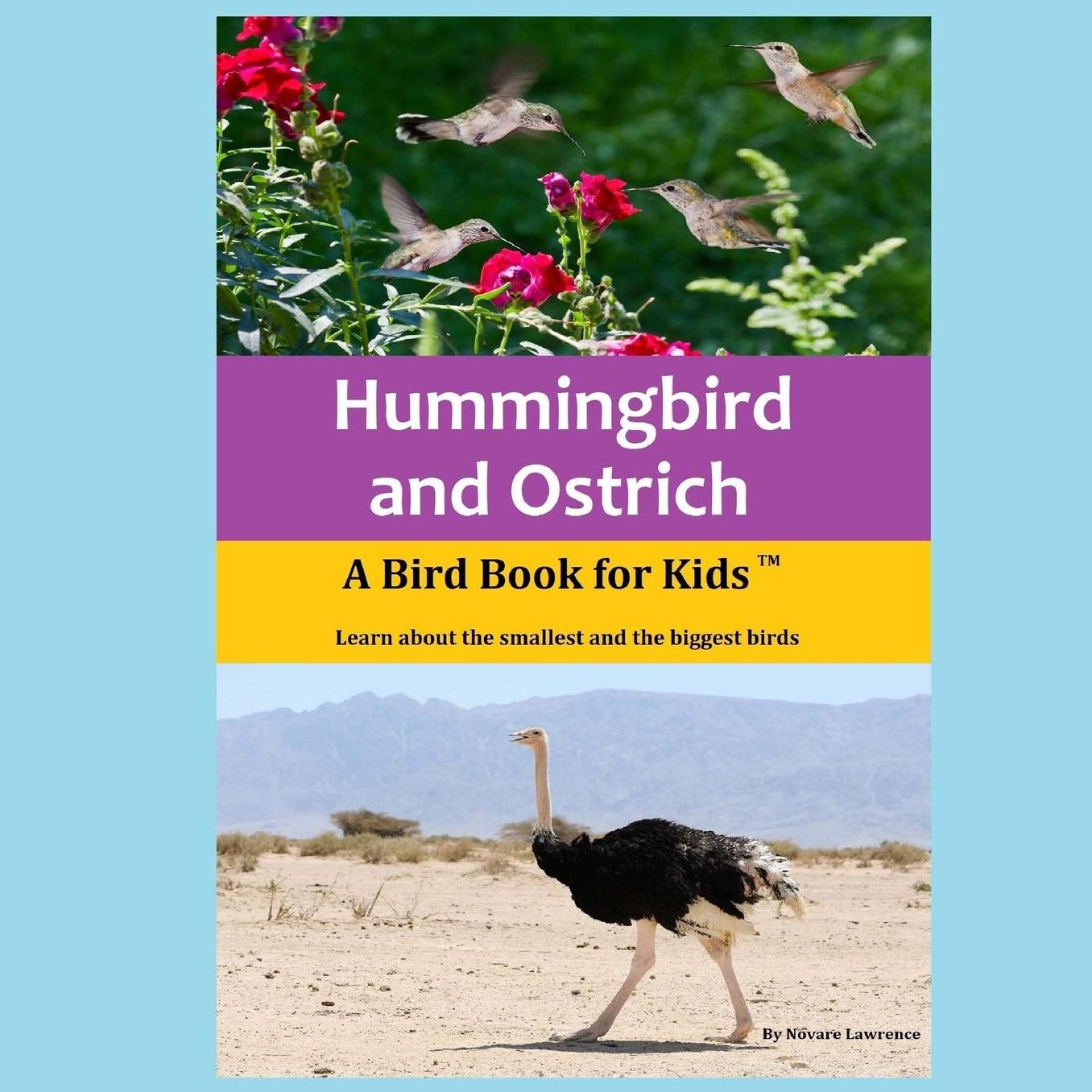 Hummingbird and Ostrich: A Bird Book for Kids