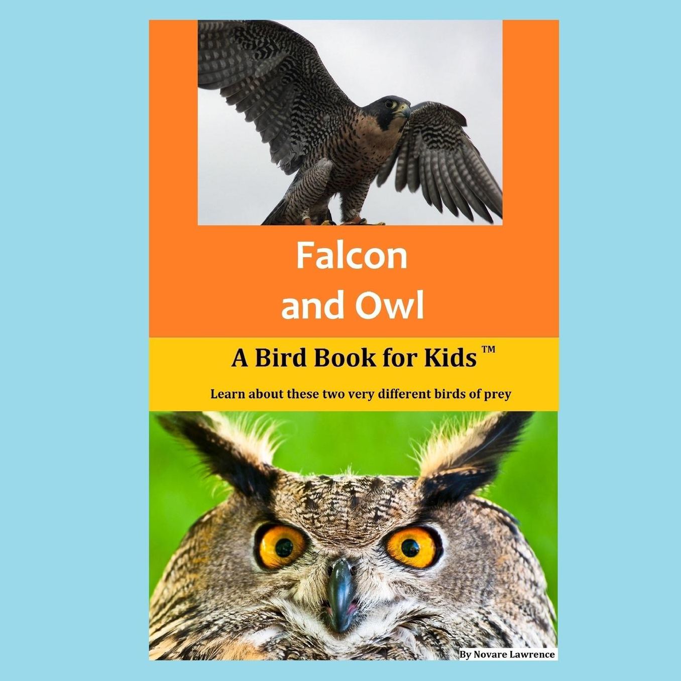 Falcon and Owl: A Bird Book for Kids