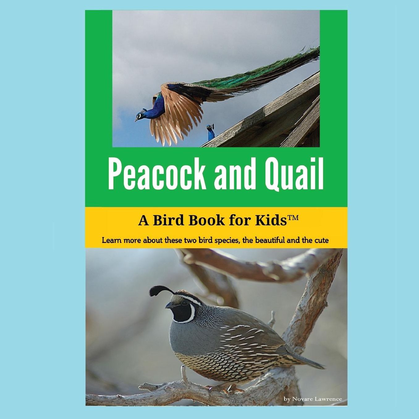 Peacock and Quail: A Bird Book for Kids?