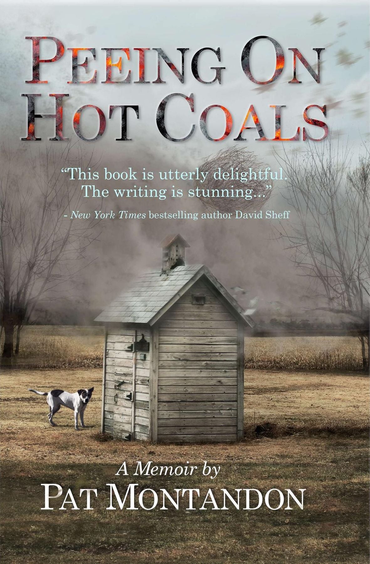 Peeing On Hot Coals: Drowning the Devil