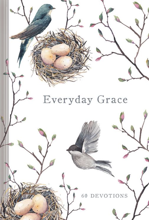 Everyday Grace: 60 Devotions (Large Print -- QA test)