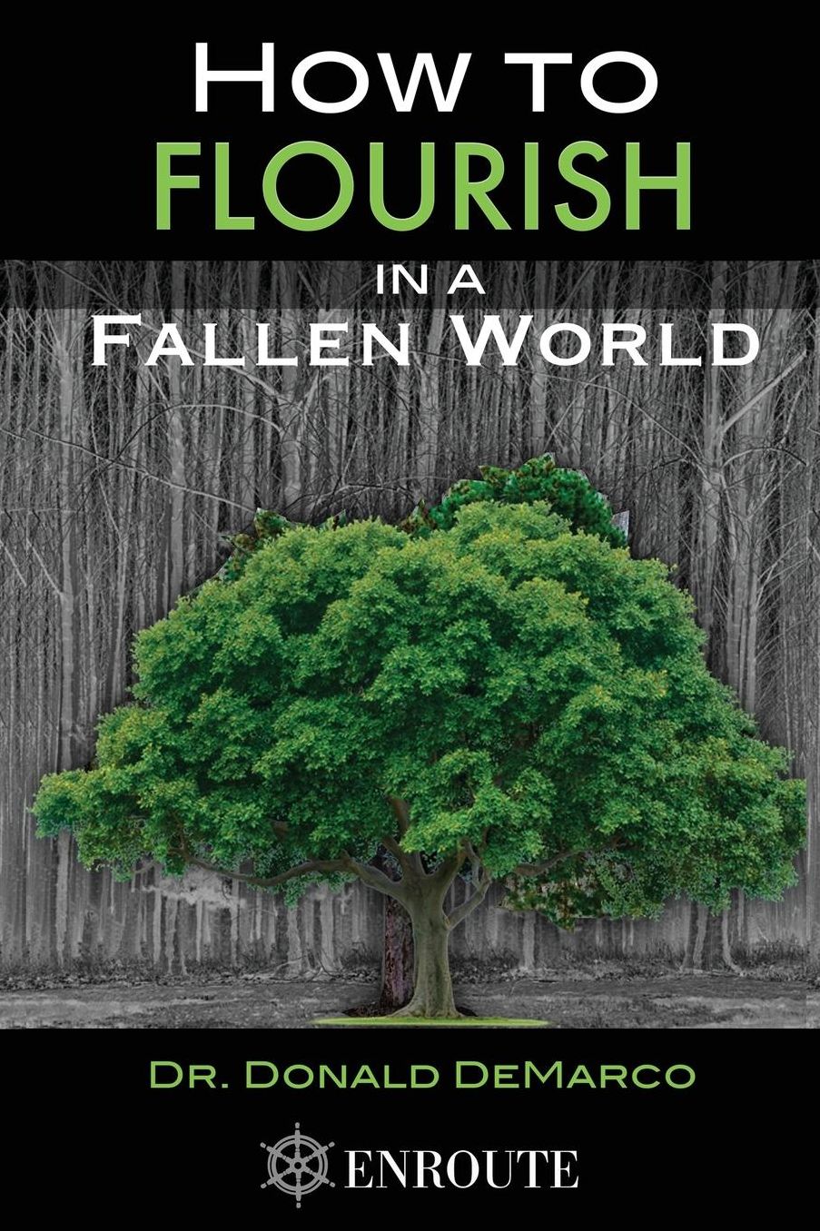 How to Flourish in a Fallen World