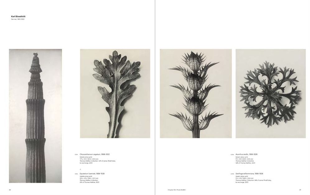 Photography at Moma: 1840 to 1920