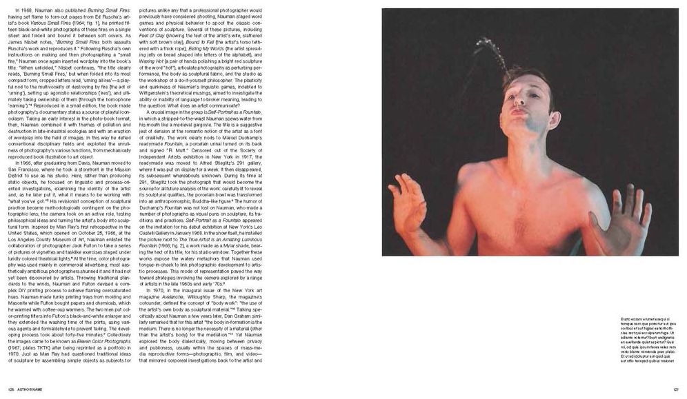 Bruce Nauman: Disappearing Acts