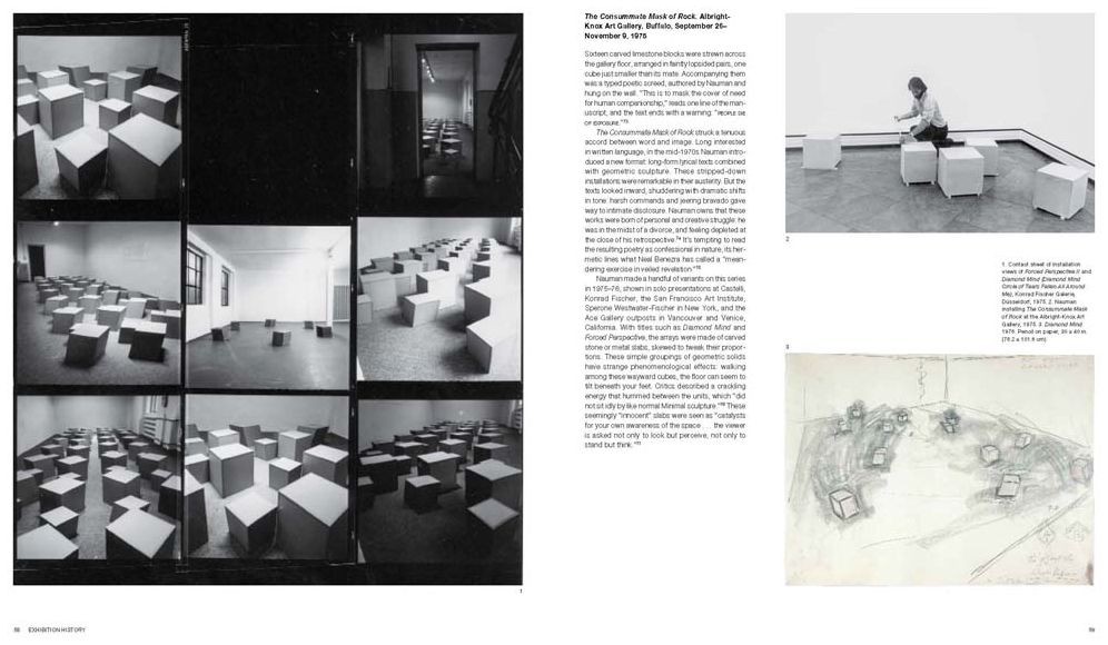 Bruce Nauman: Disappearing Acts