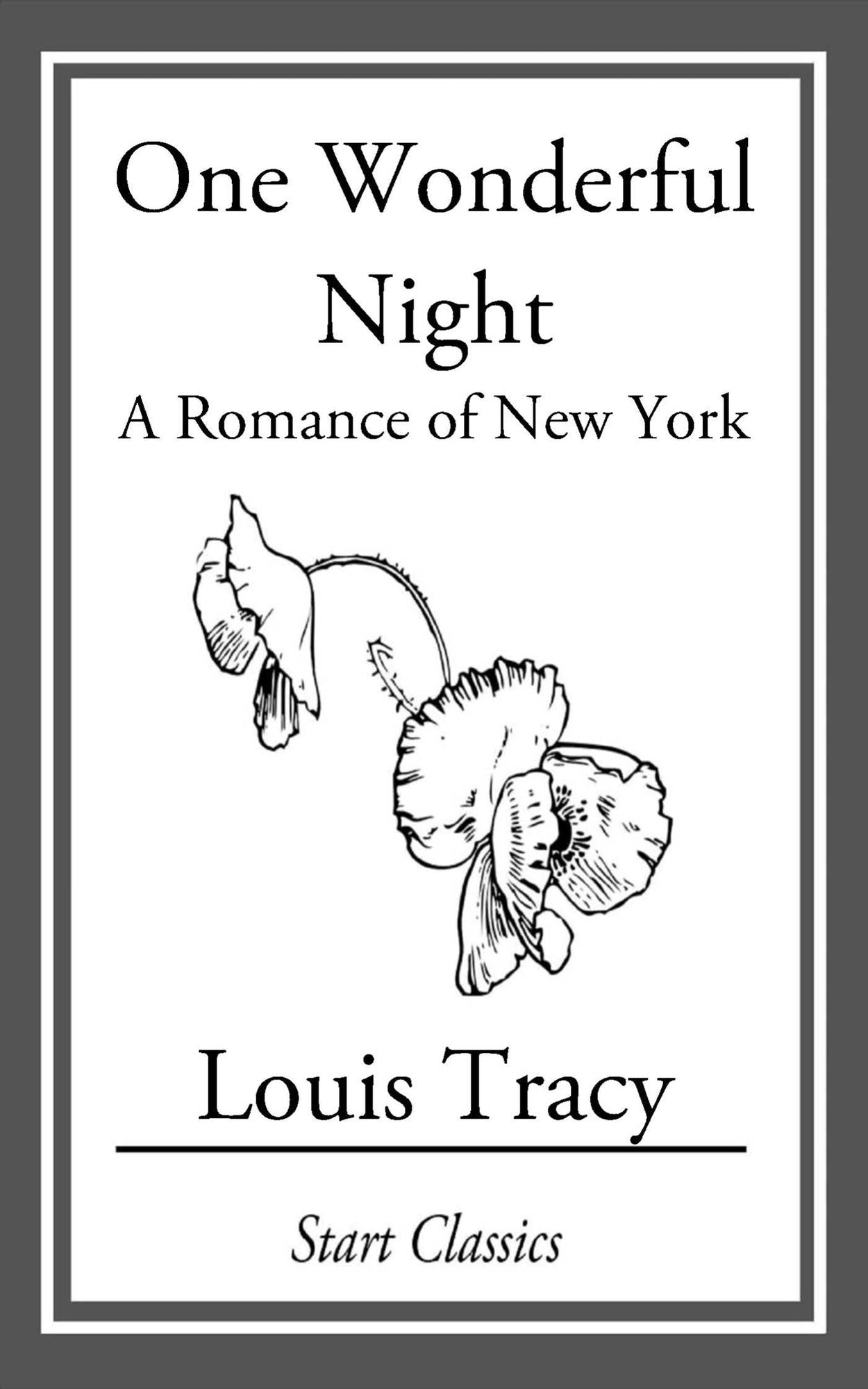 One Wonderful Night: A Romance of New York