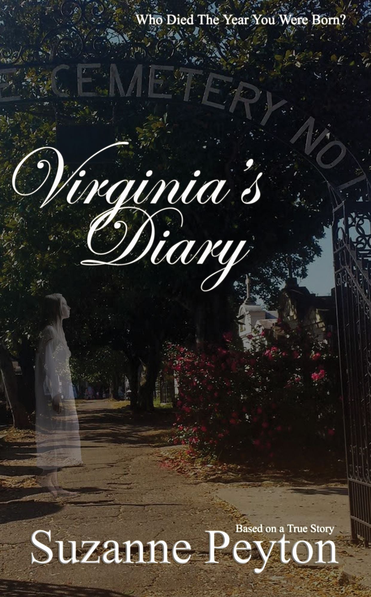 Virginia's Diary
