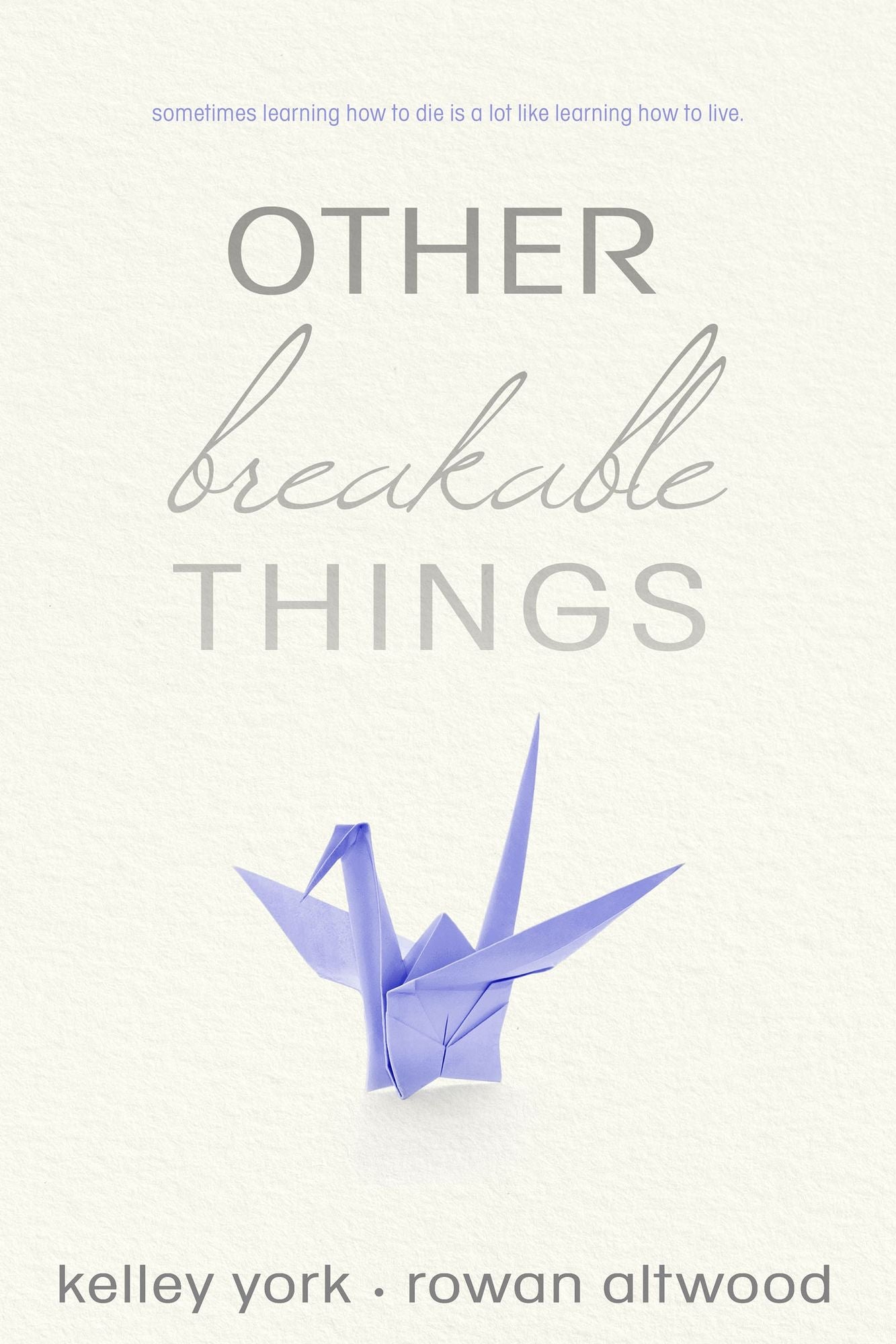 Other Breakable Things