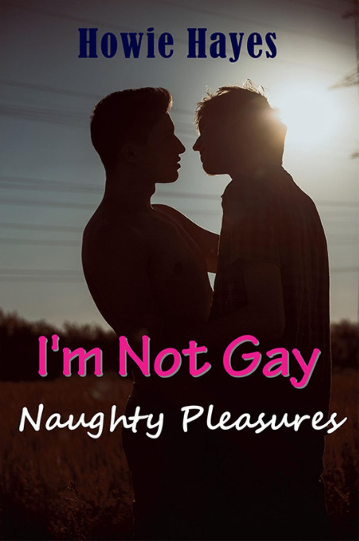 I'm Not Gay: Naughty Pleasures
