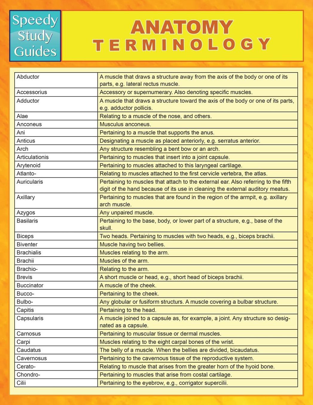 Anatomy Terminology (Speedy Study Guides)