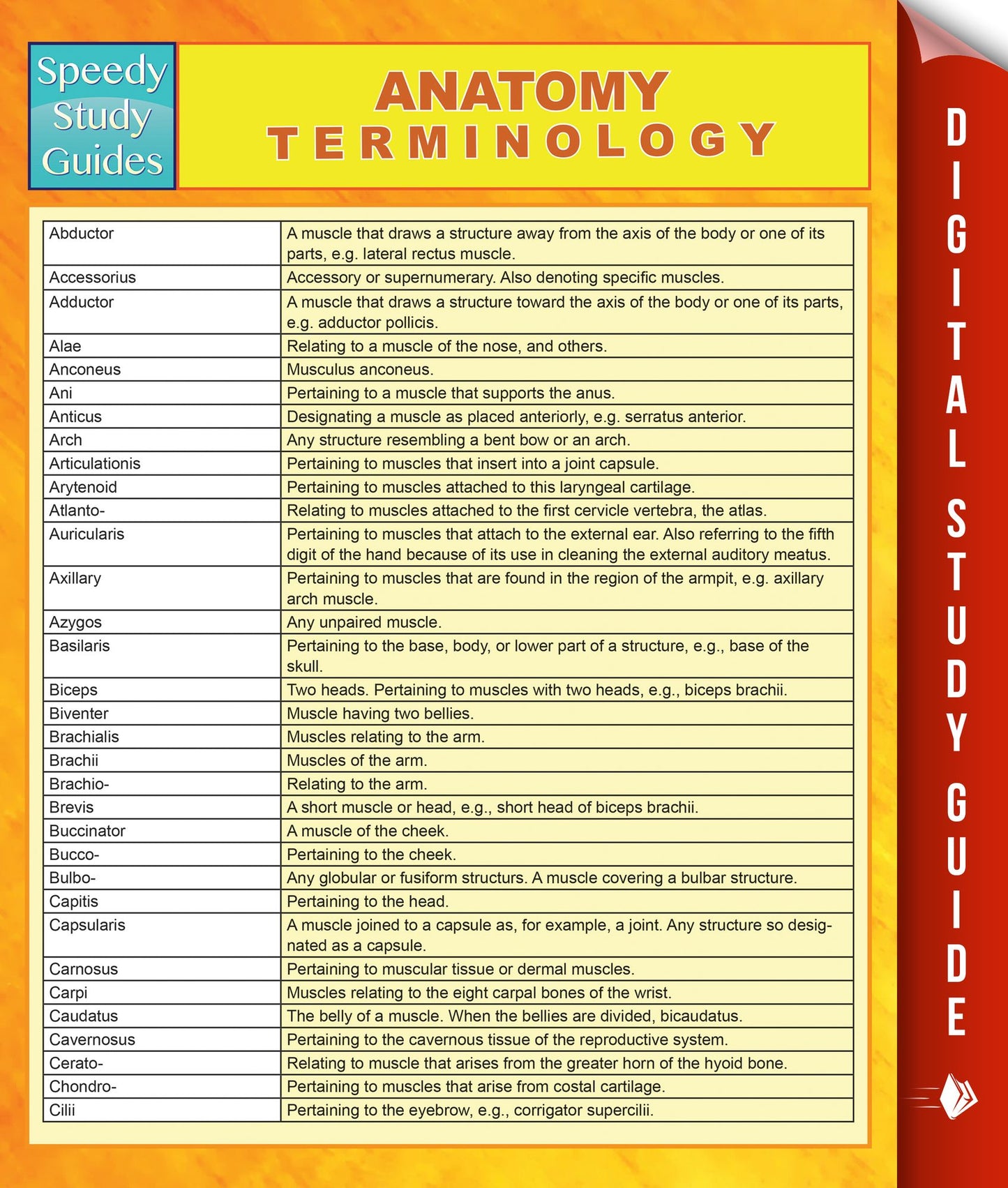 Anatomy Terminology