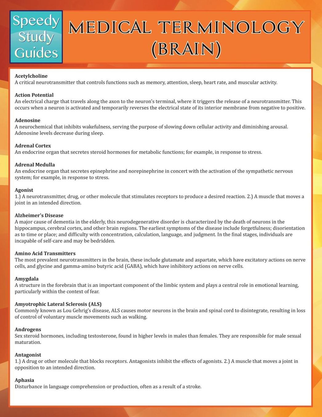 Medical Terminology: Brain (Speedy Study Guides)