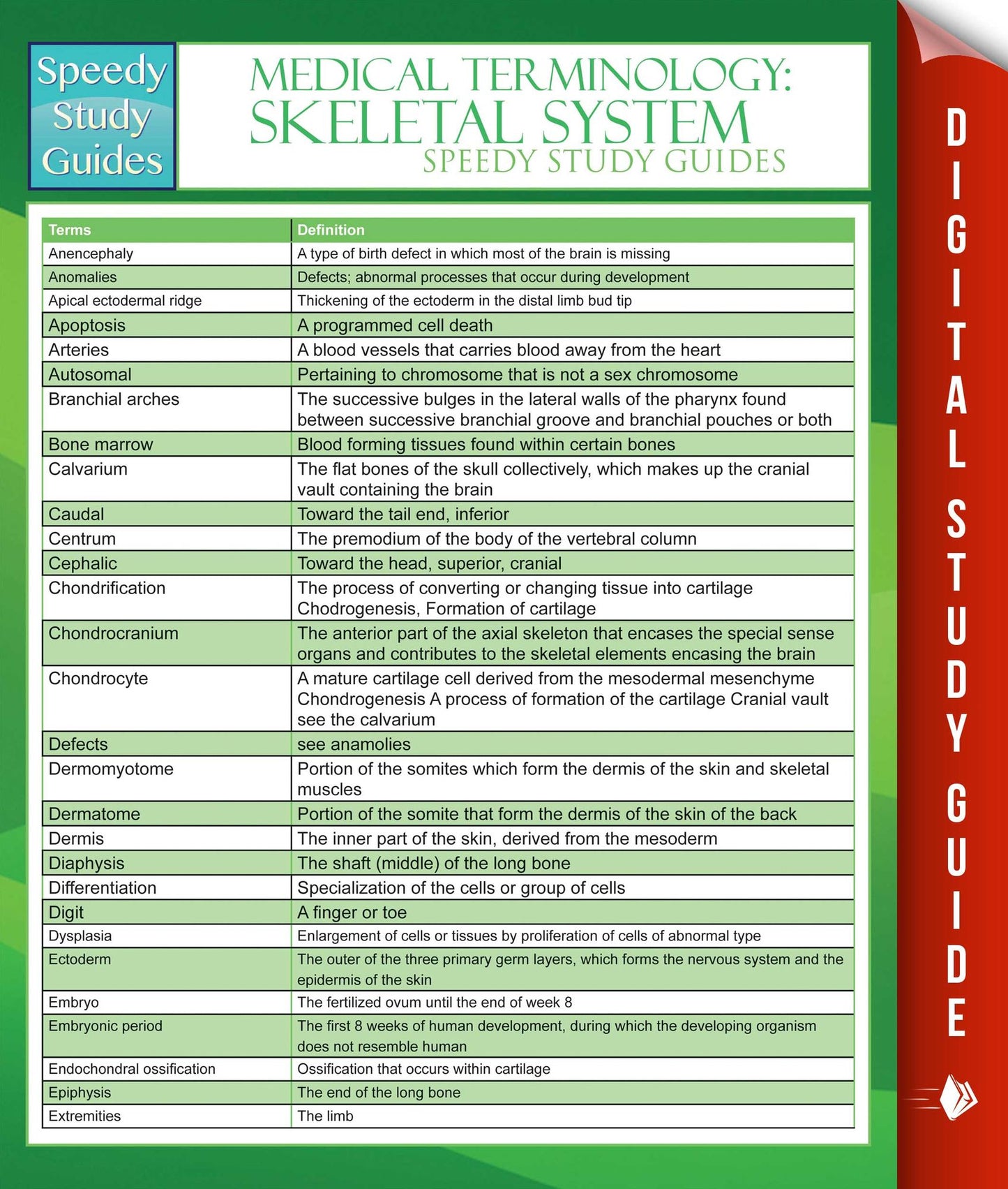 Medical Terminology: Skeletal System Speedy Study Guides