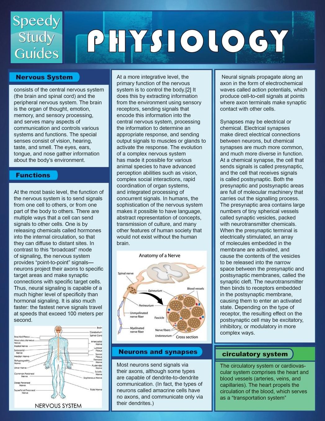 Physiology (Speedy Study Guides)