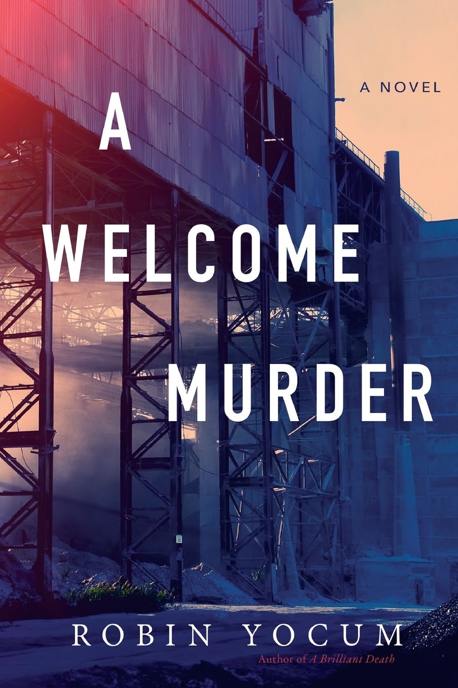 A Welcome Murder