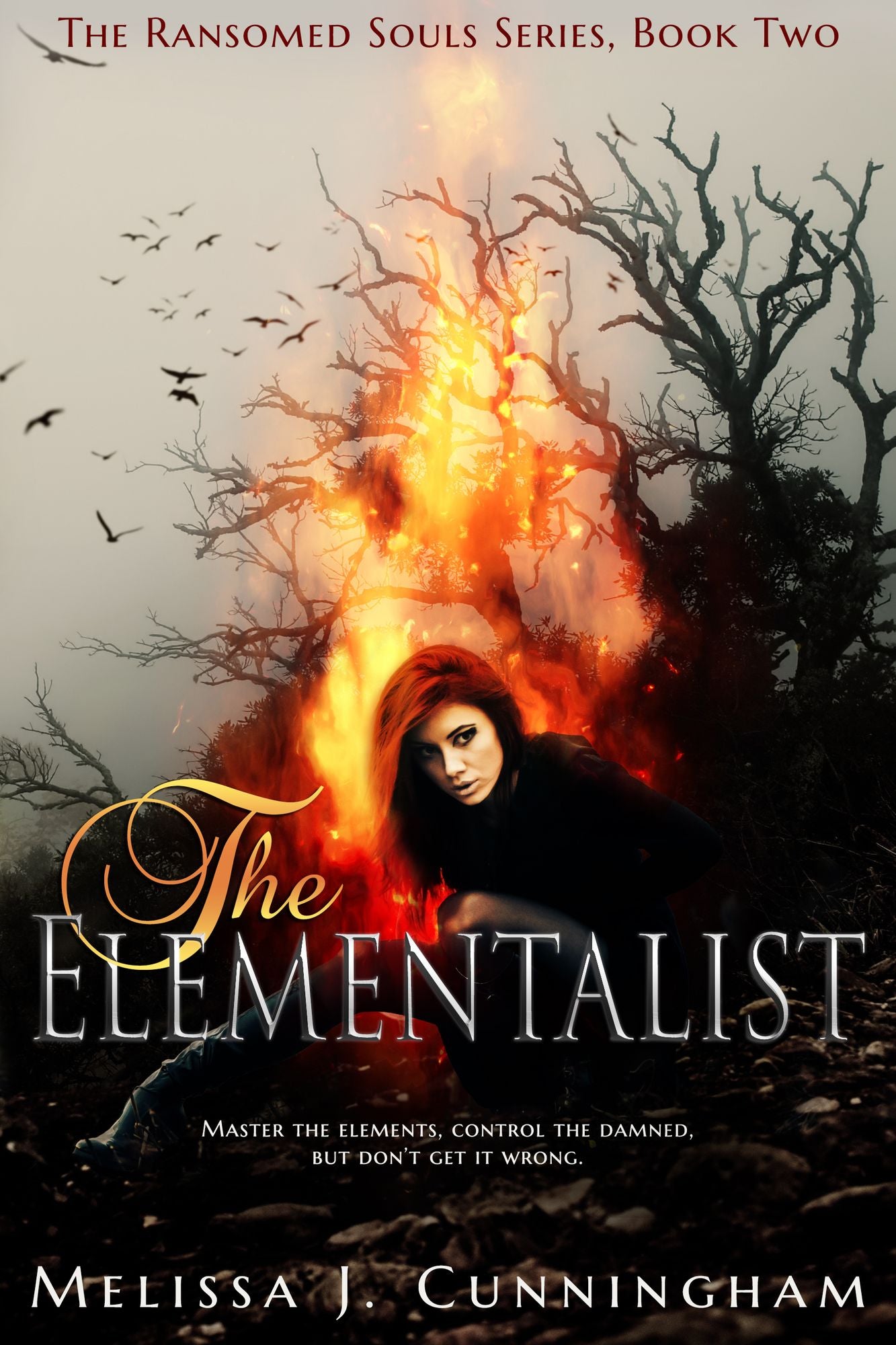The Elementalist (The Ransomed Souls Series #2)