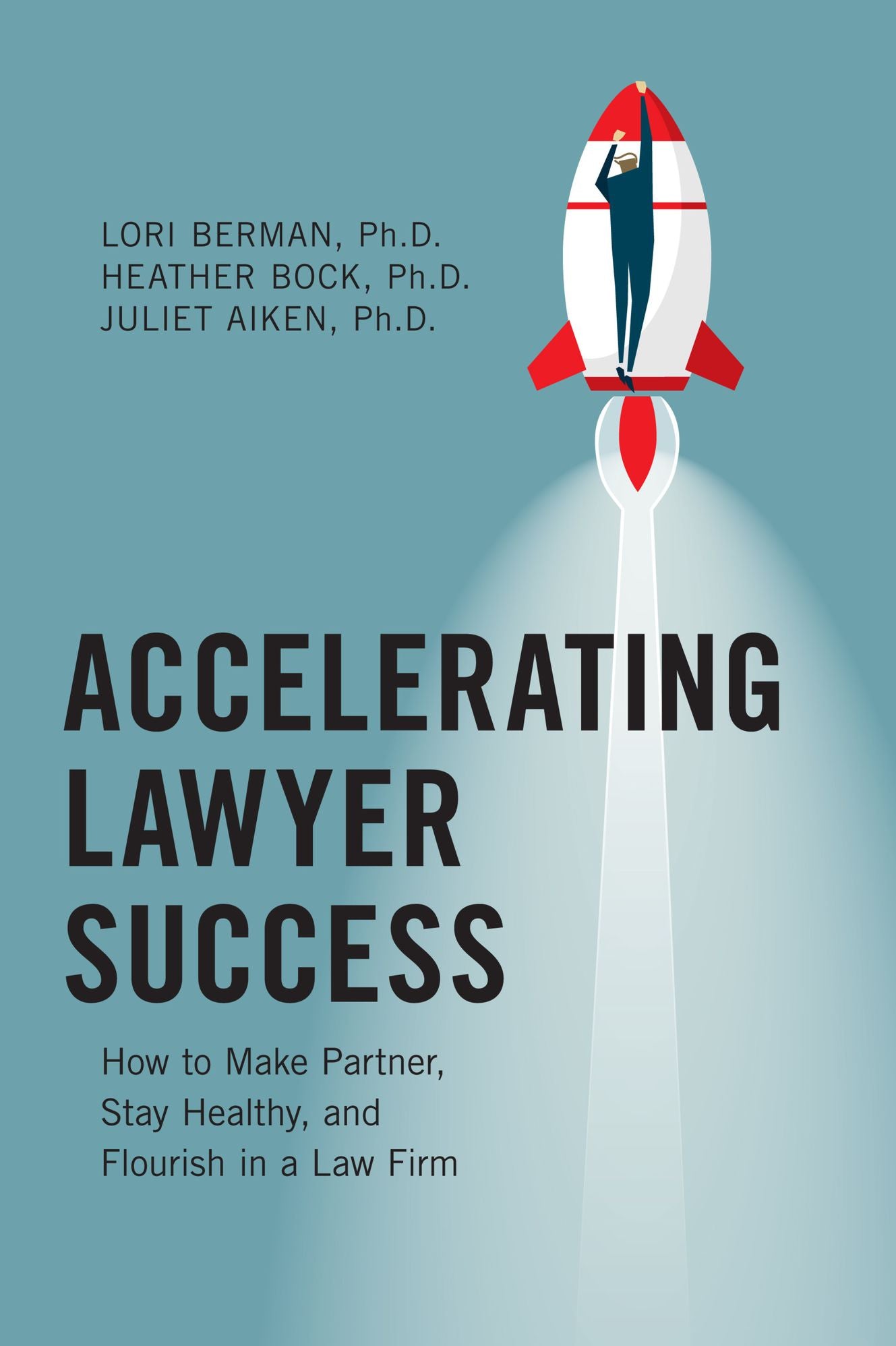 Accelerating Lawyer Success: How to Make Partner, Stay Healthy, and Flourish in a Law Firm