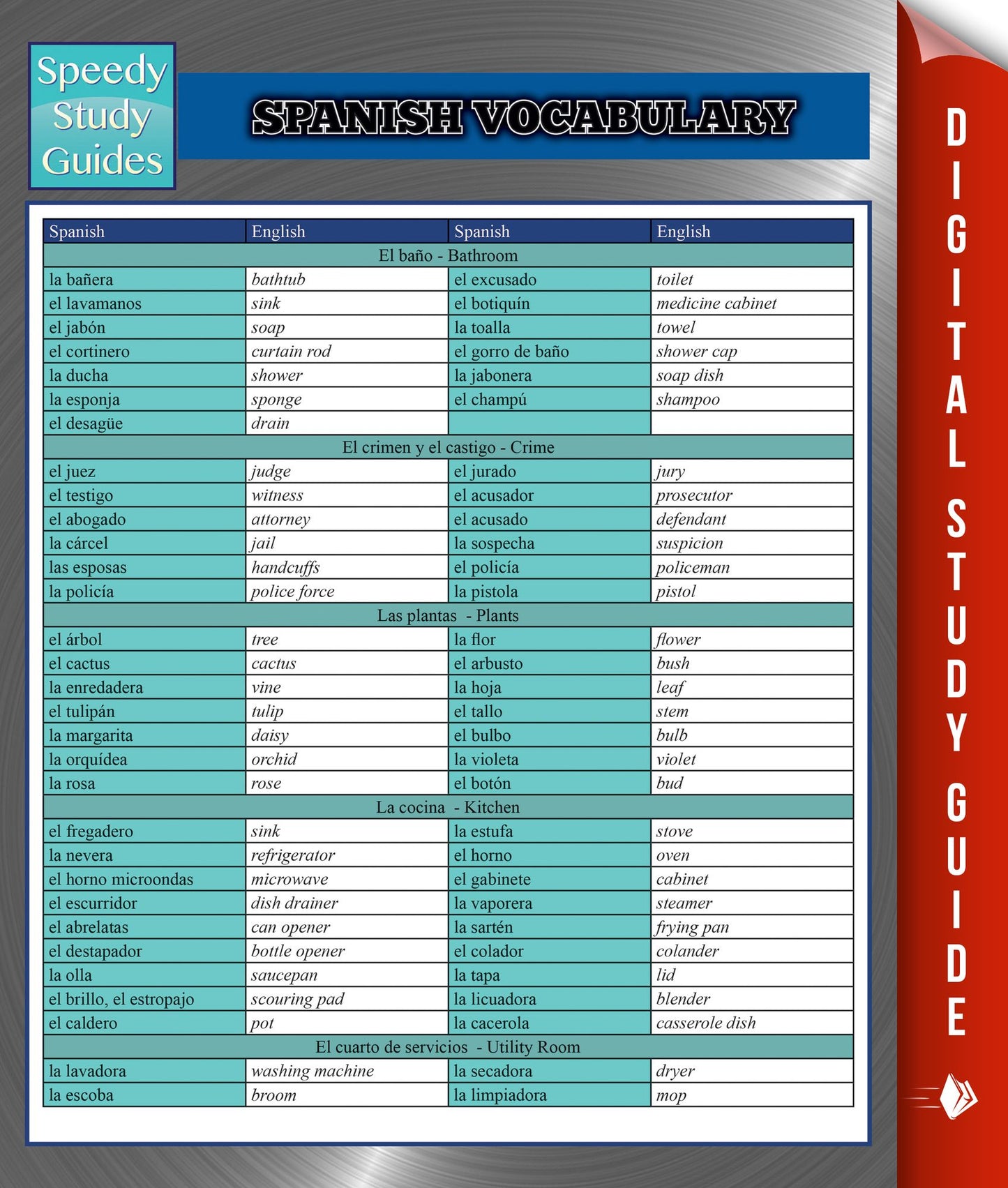Spanish Vocabulary Speedy Study Guides