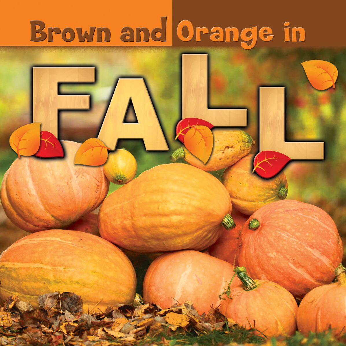 Orange and Brown in Fall