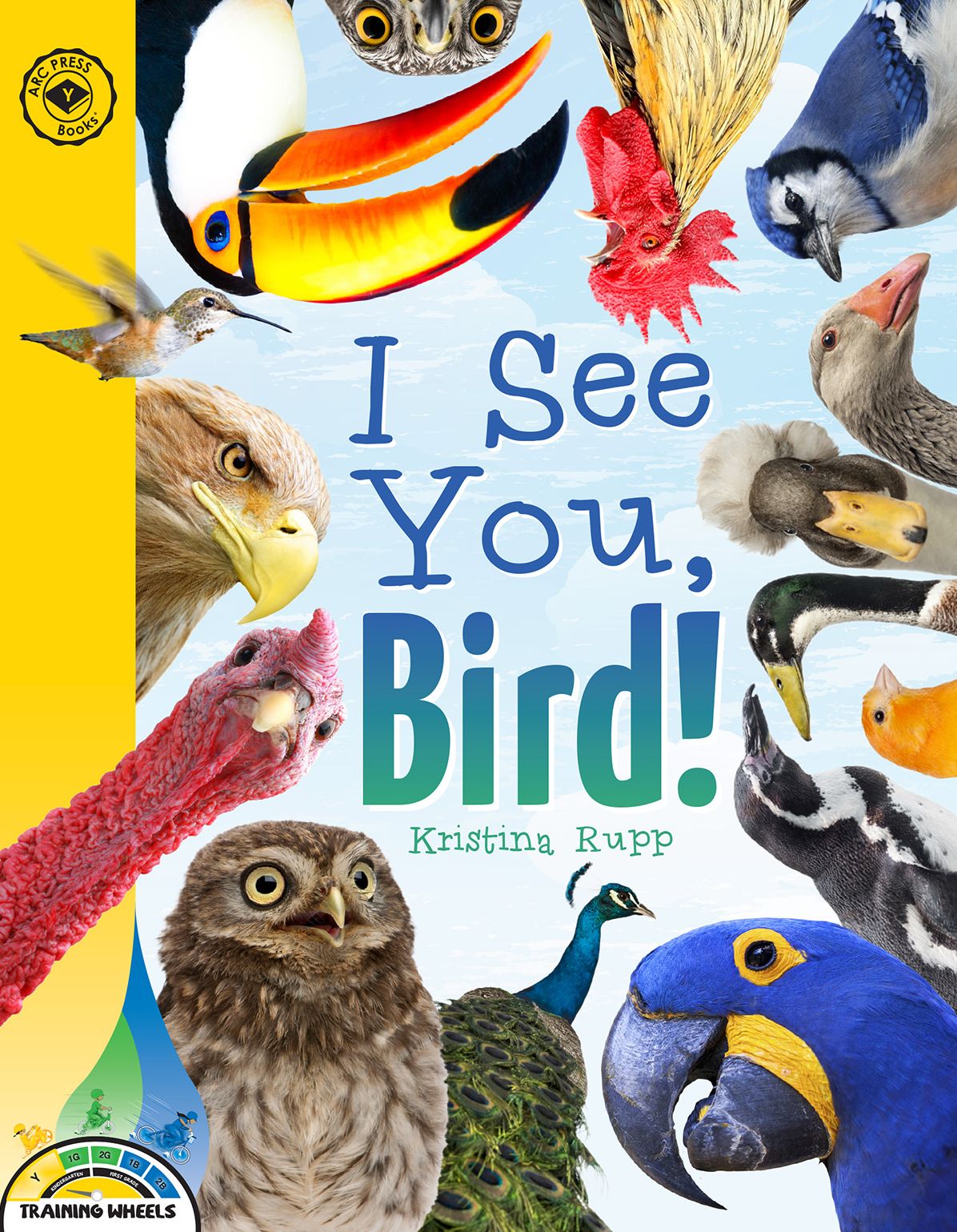 I See You, Bird!