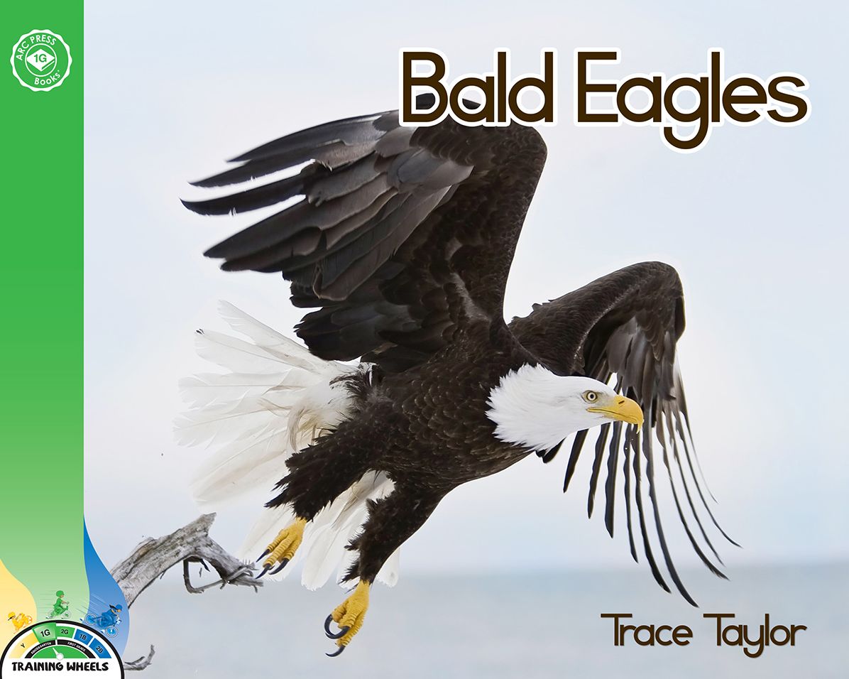 Bald Eagles