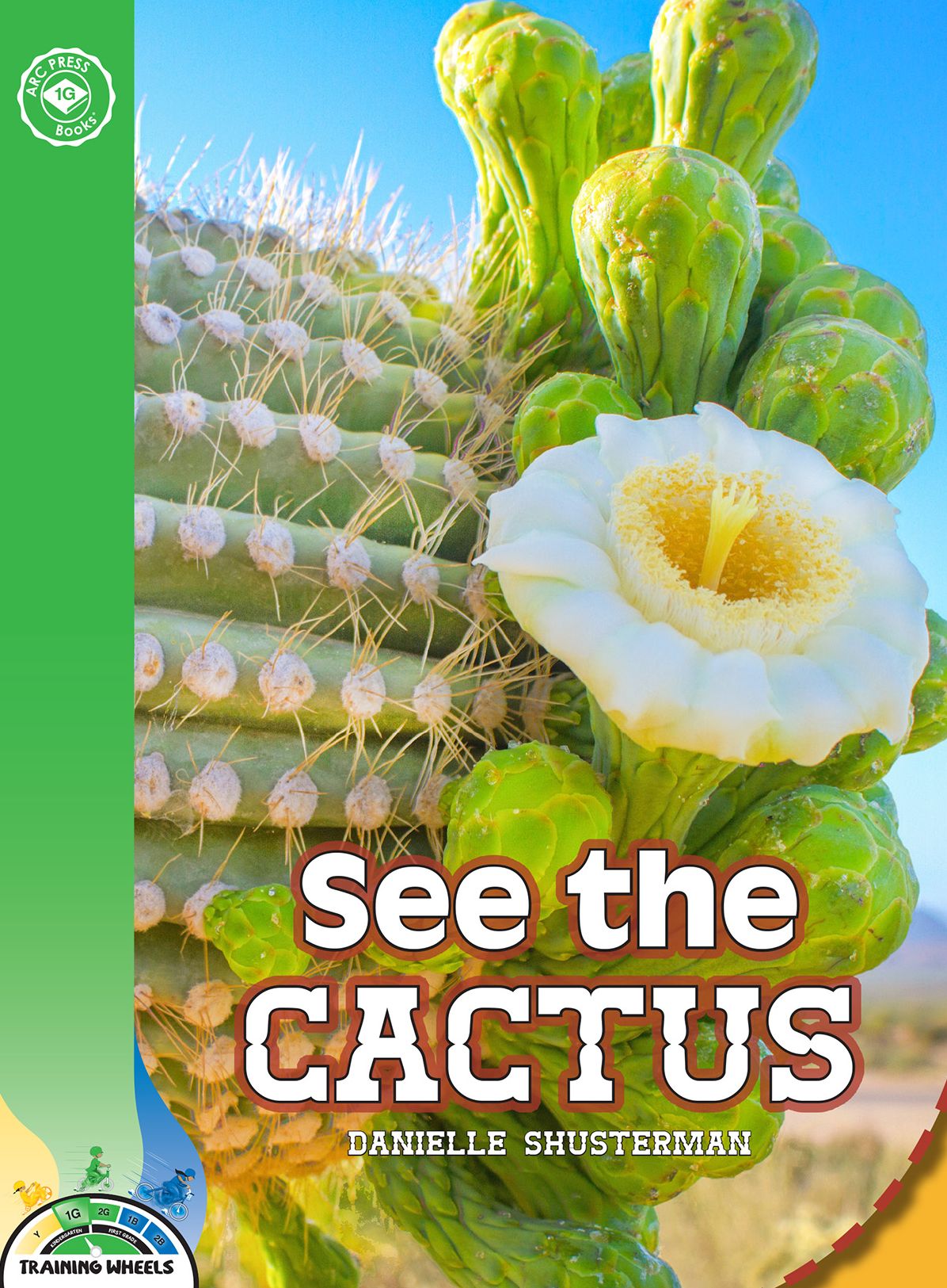 See the Cactus