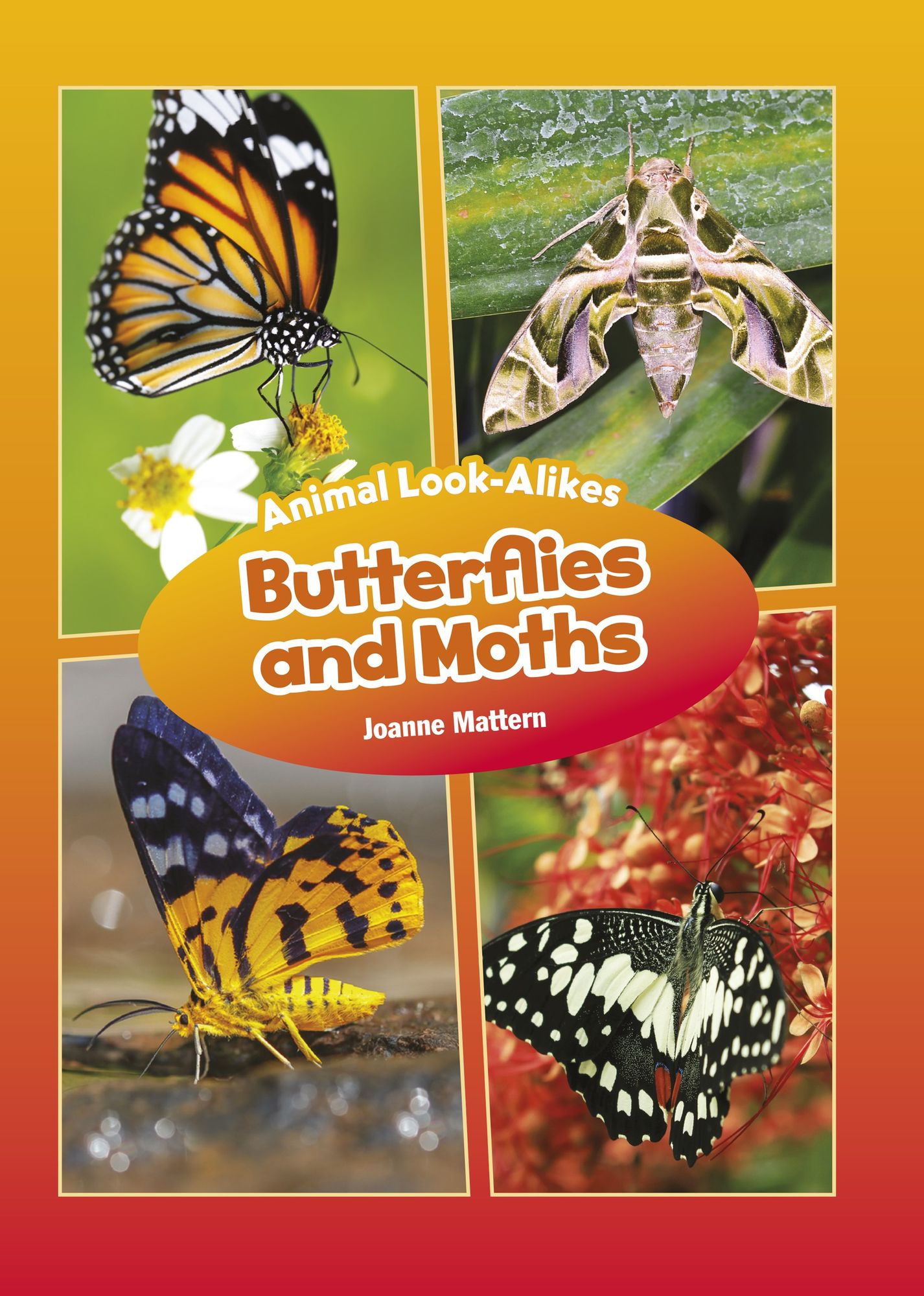 Butterflies and Moths