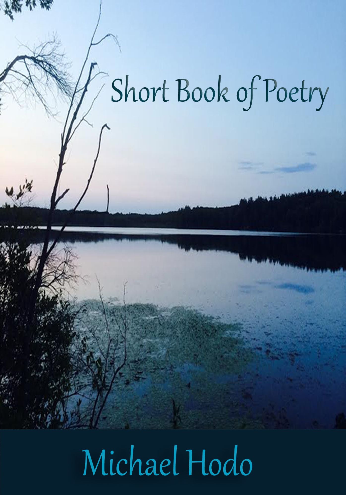 Short Book Of Poetry