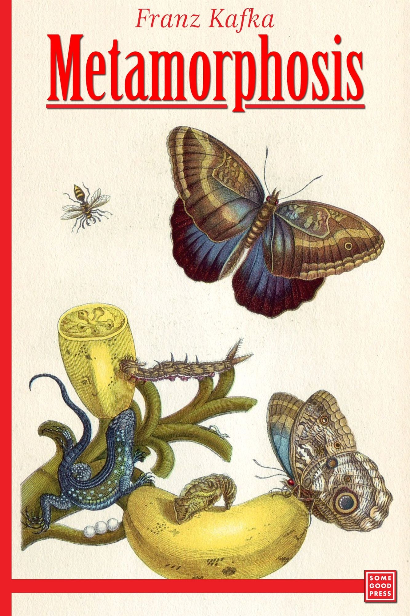 Metamorphosis