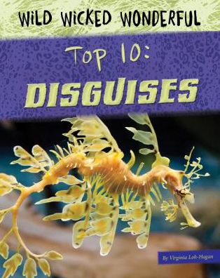 Disguises