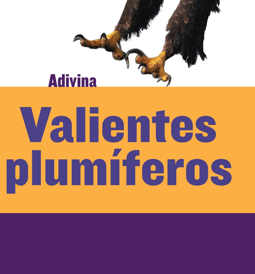 Valientes plumíferos (Feathered and Fierce): Águila (Bald Eagle)