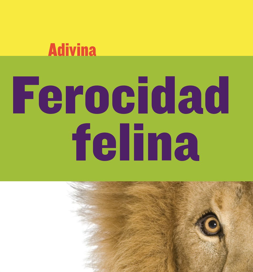 Ferocidad felina (Fiercely Feline): León (Lion)
