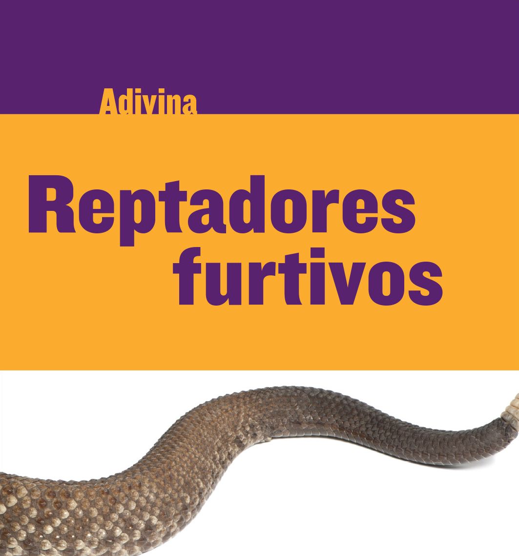 Reptadores furtivos (Slinky Sliders): Serpiente de cascabel (Rattlesnake)