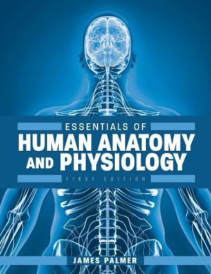 Essentials of Human Anatomy and Physiology