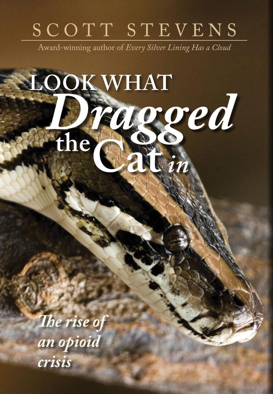 Look What Dragged the Cat in: The Rise of an Opioid Crisis