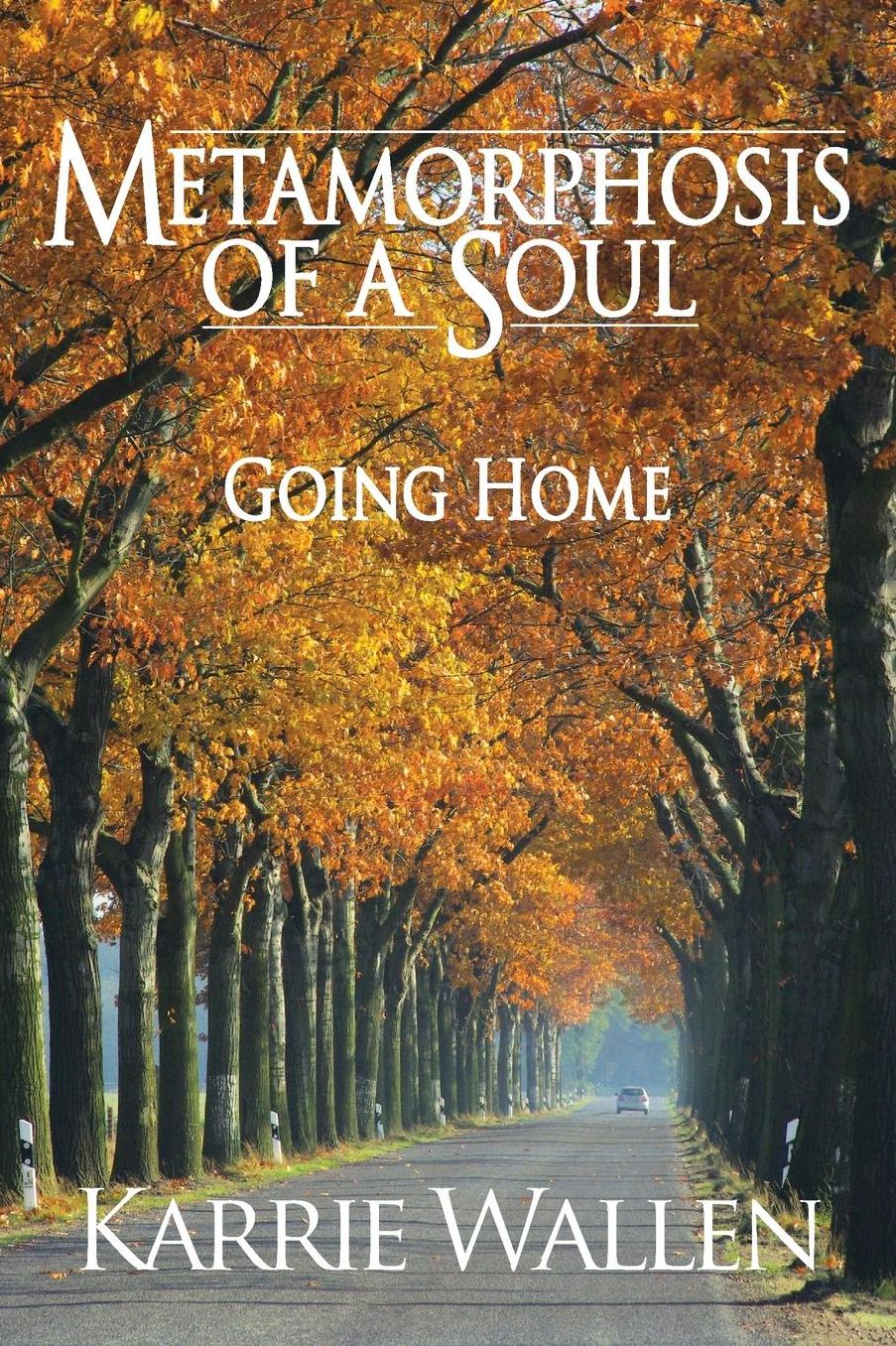 Metamorphosis of a Soul: Going Home