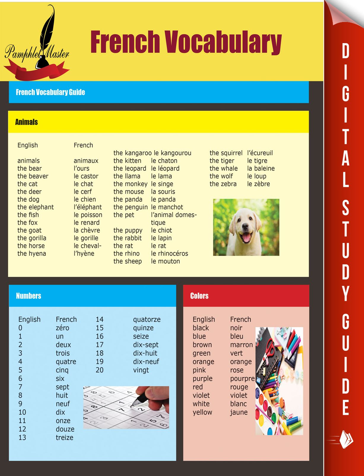 French Vocabulary: French Vocabulary Guide