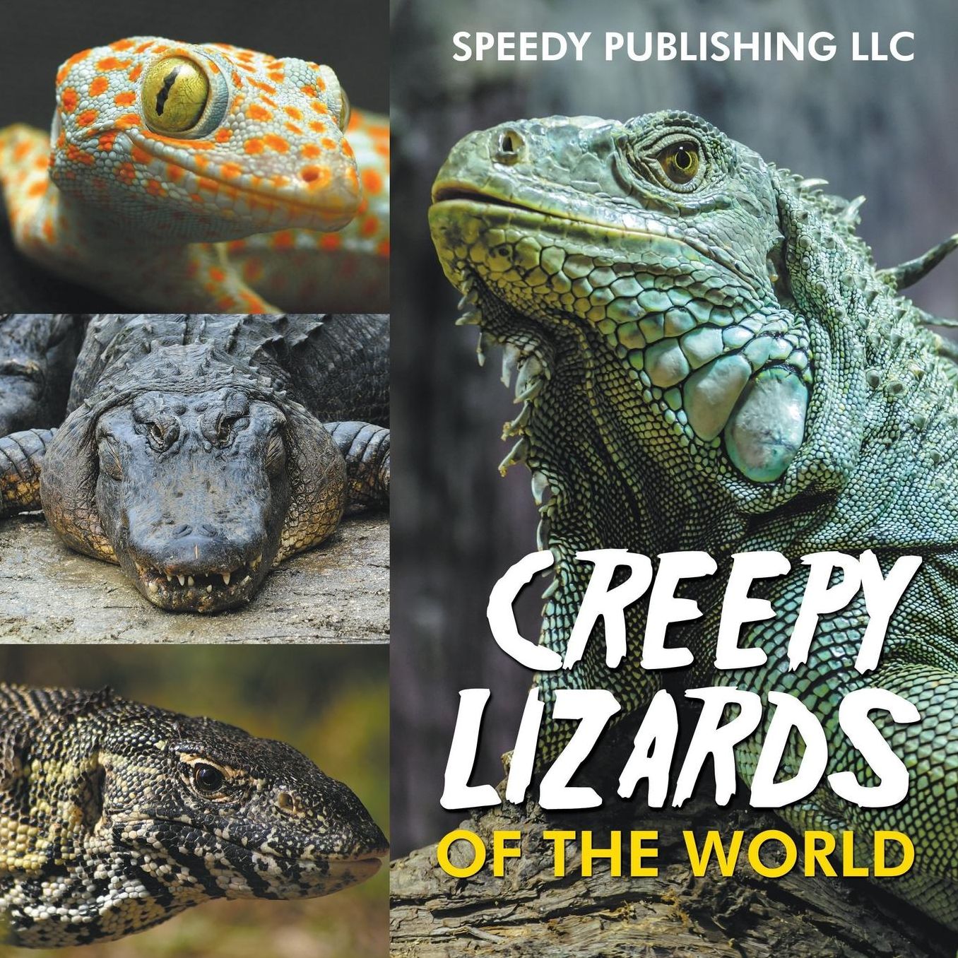 Creepy Lizards of the World