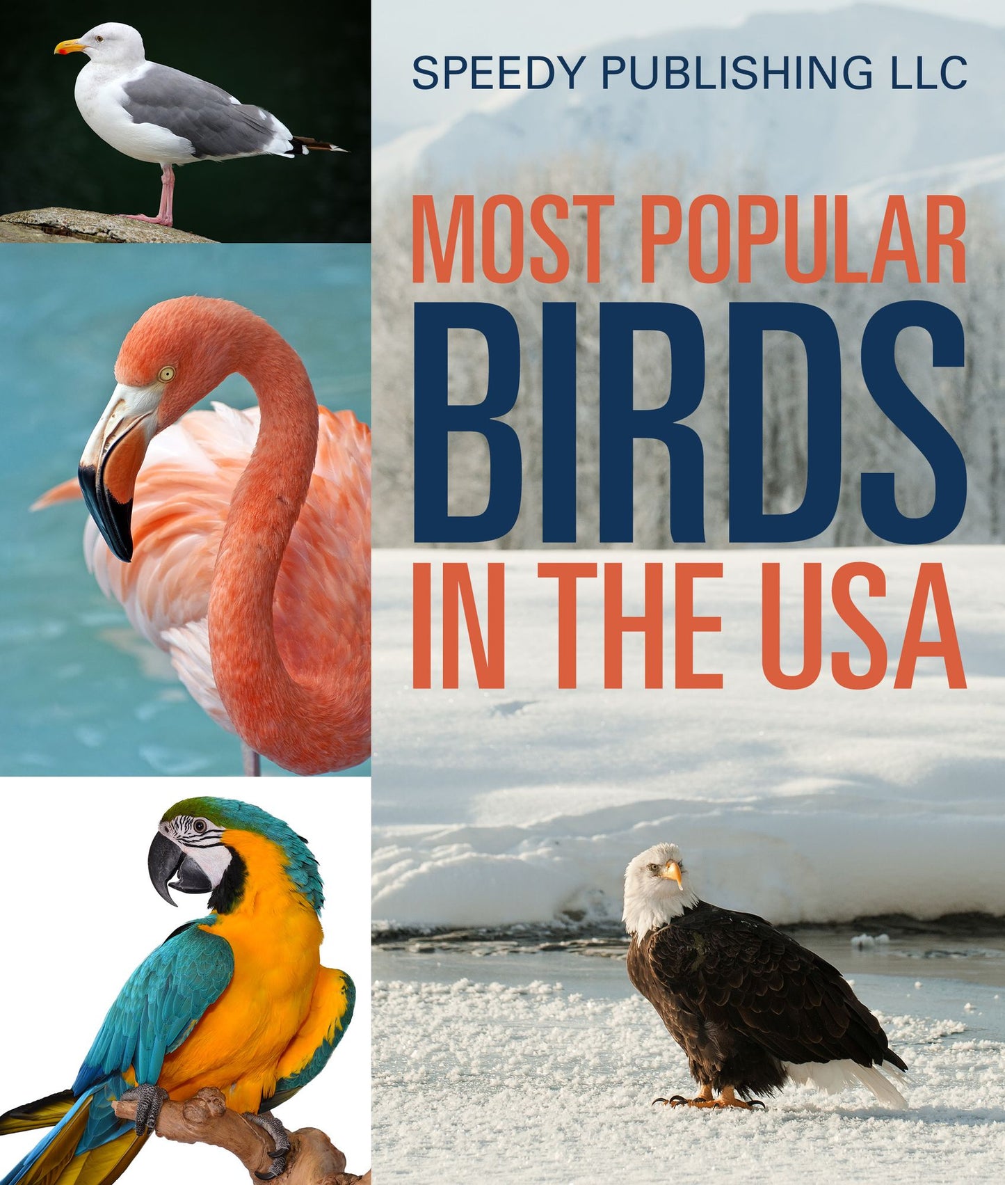 Most Popular Birds In The USA: Children's Picture Book of Birds