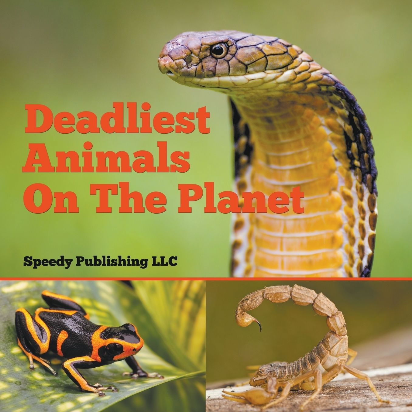 Deadliest Animals on the Planet